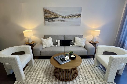 Contemporary-Living-Room-Staging-in-Toronto